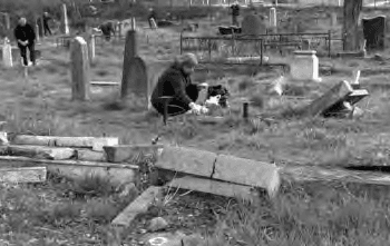 Заокруживање косовске државе као врхунац бриге о Србима